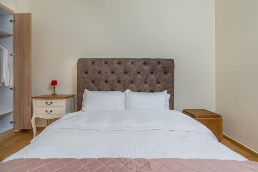 Apartament Athenian Elegant Apt Near Acropolis Zewnętrze zdjęcie